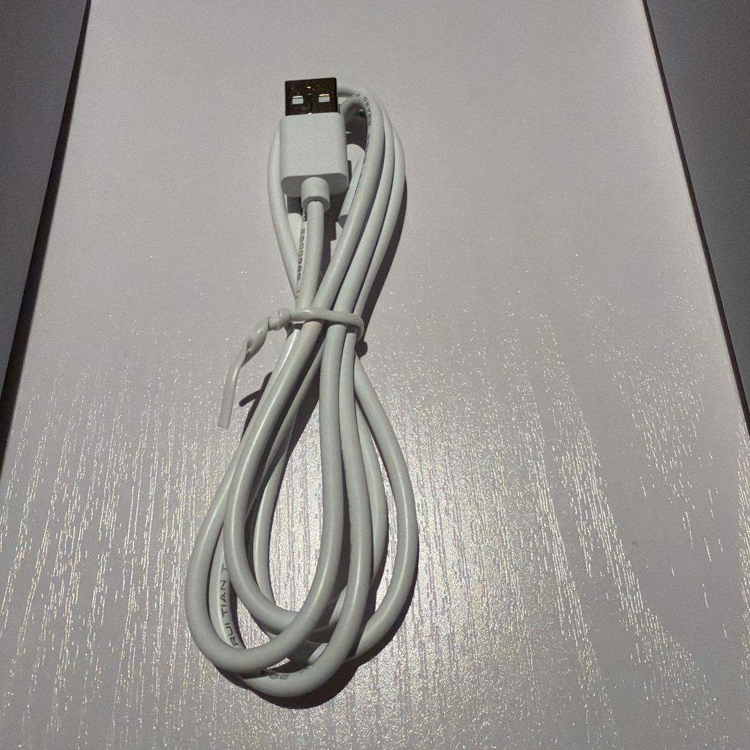 即日発送可　SALONIA 電気ブラシ