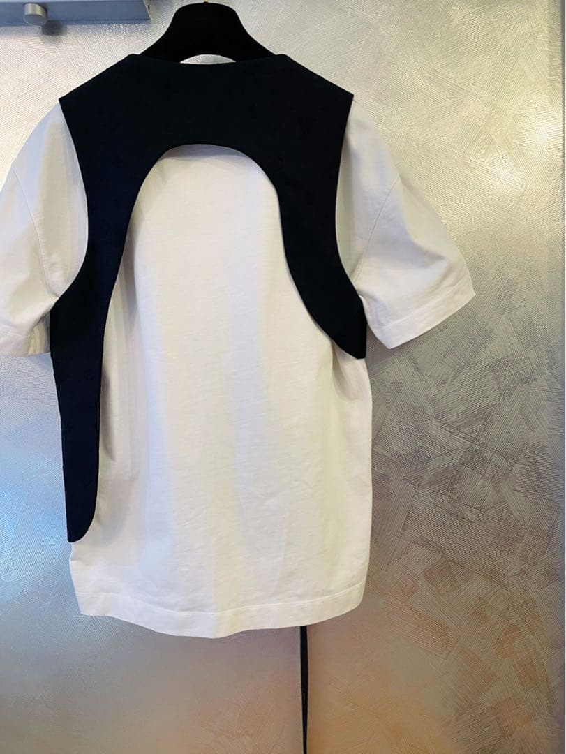 最終価格！ LOUIS VUITTON モノグラム　ベスト