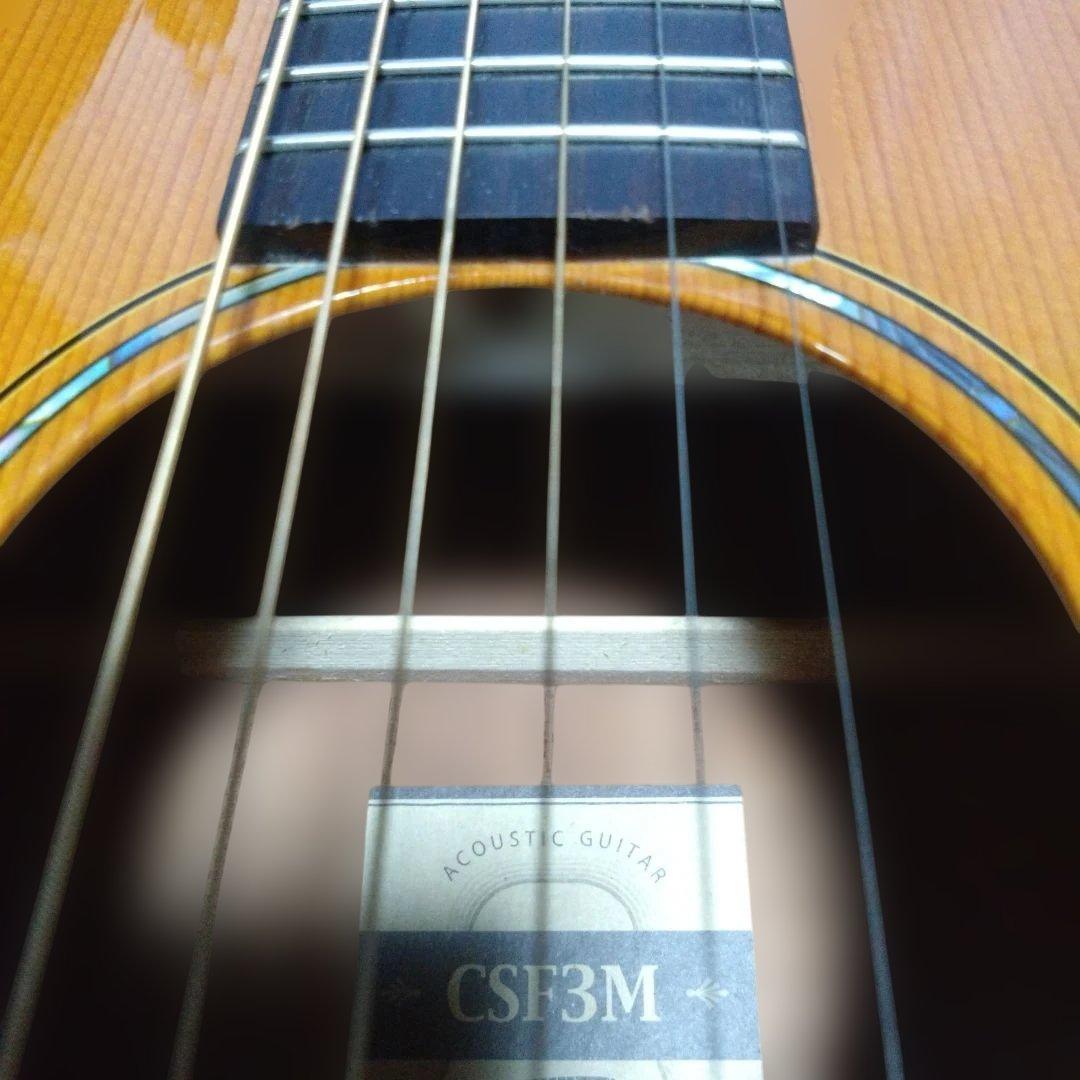 あーりんmama★さん用YAMAHA CSF3M エレアコ 専用ライトケース付