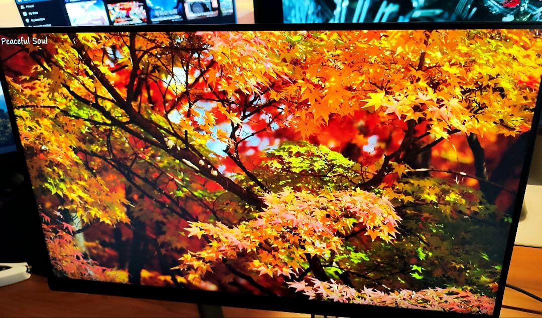 Philips 24インチ WQHDモニター アーム付属可(要説明確認)