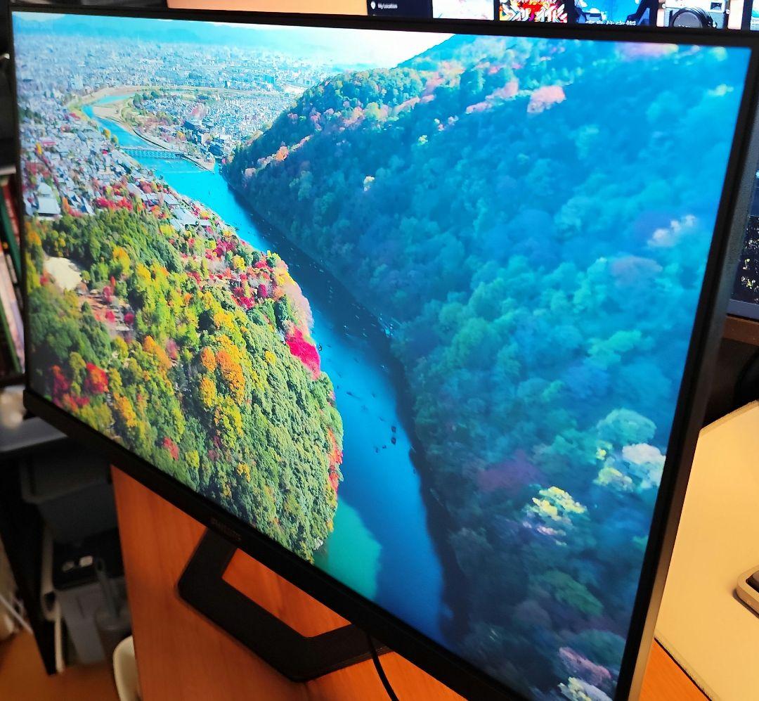 Philips 24インチ WQHDモニター アーム付属可(要説明確認)