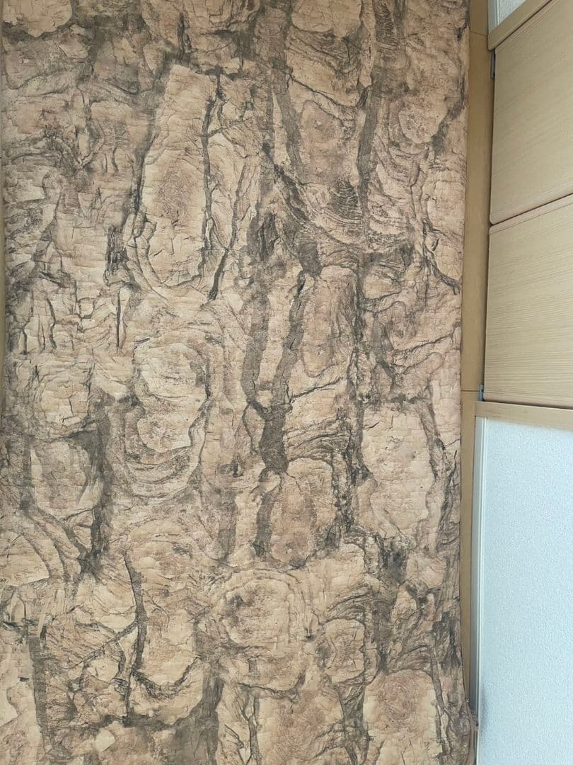 Christmasセール♪TELUSGIZER Refine 美容機器寝るだけ◎