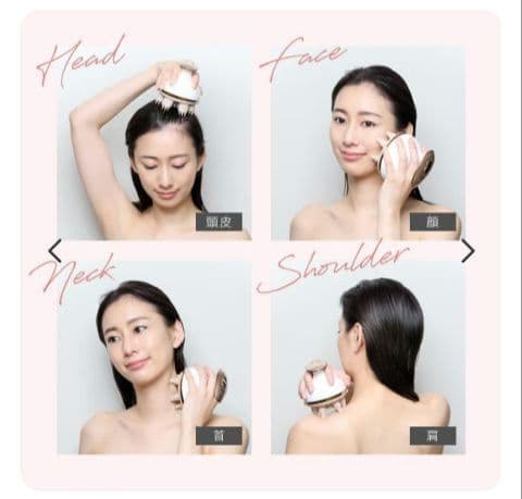 ミーゼ ニードルヘッドスパリフト (MS−31N)