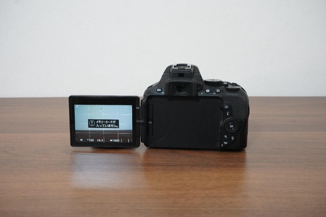 【ショット数3509枚】Nikon D5600 標準レンズ＋バッテリー2個付き