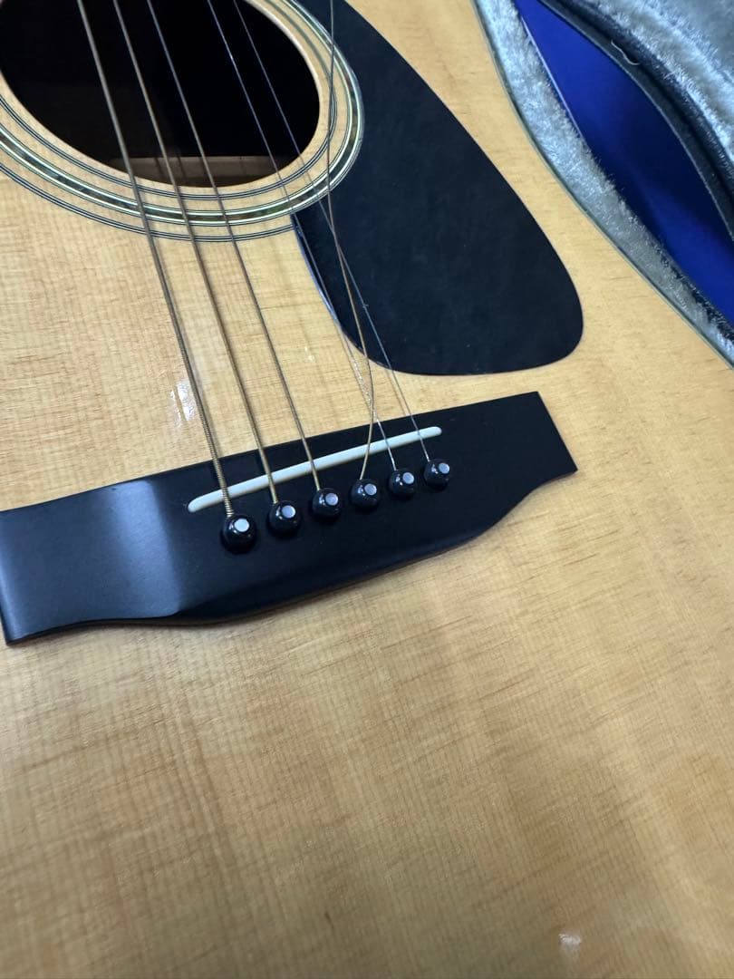 MORRIS TF-801 アコースティックギター