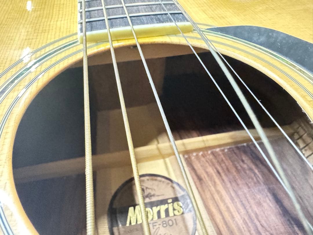 MORRIS TF-801 アコースティックギター