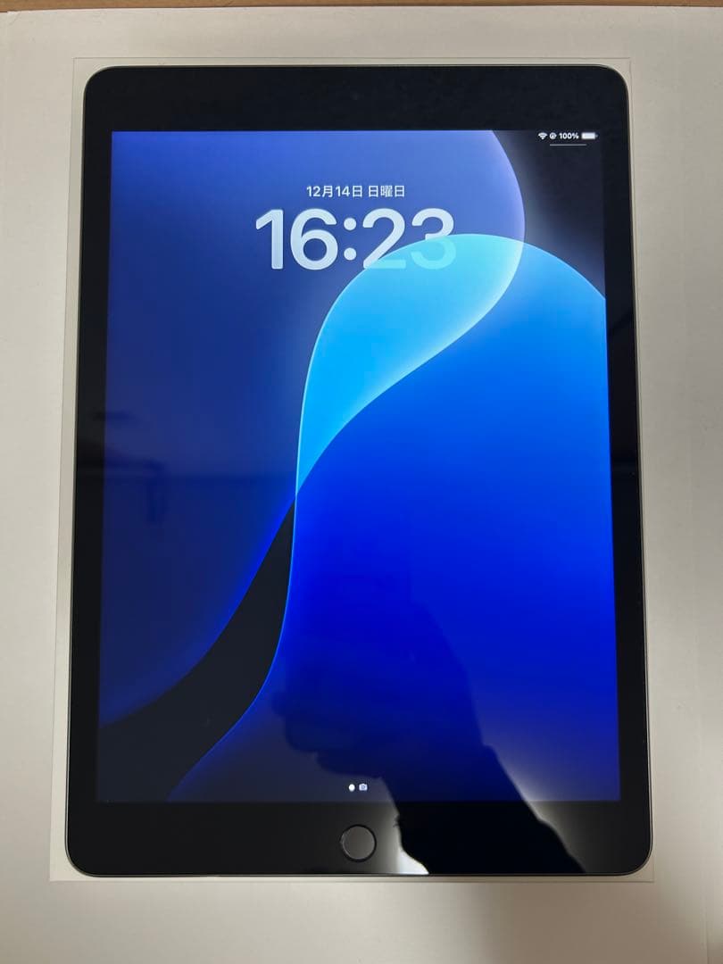 iPad 第9世代 Wi-Fi 256GB +Apple Pencil +おまけ