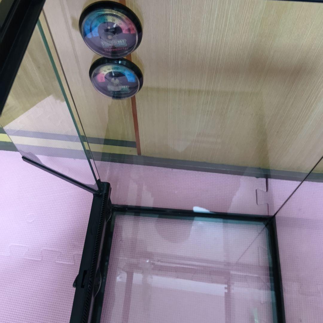 エキゾテラ　グラステラリウム3045　GEX