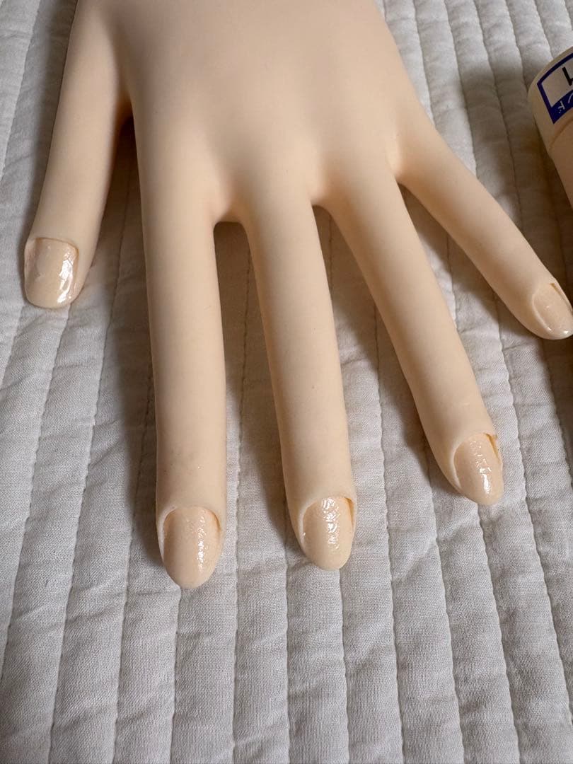 ネイリスト技能検定試験用　認定モデルハンド