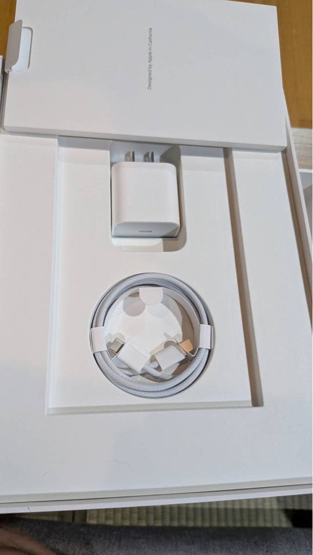 【バッテリ100%】iPad Pro 11インチ256GB Wi-Fi 第4世代