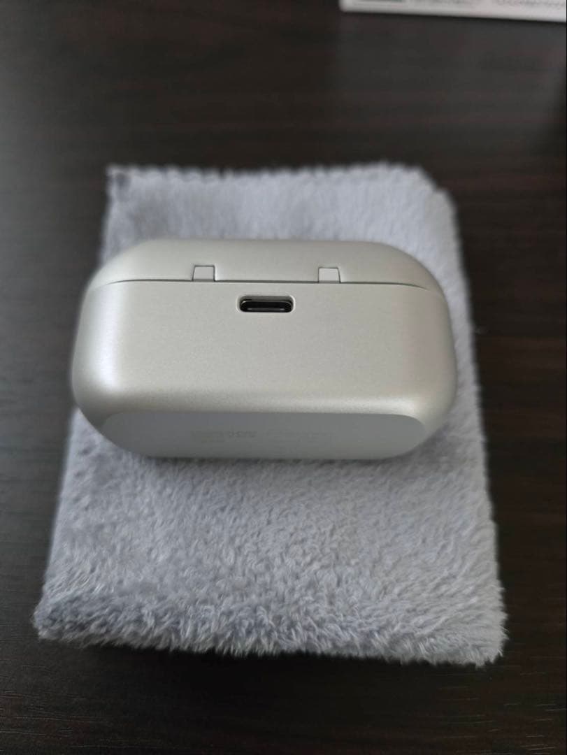 Technics テクニクス ワイヤレスイヤホン EAH-AZ100 シルバー