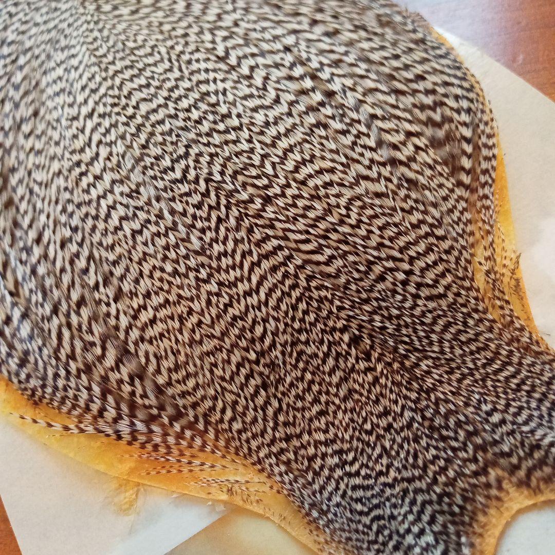 メッツ　コックネック　グリズリー 　♯1　ハックル