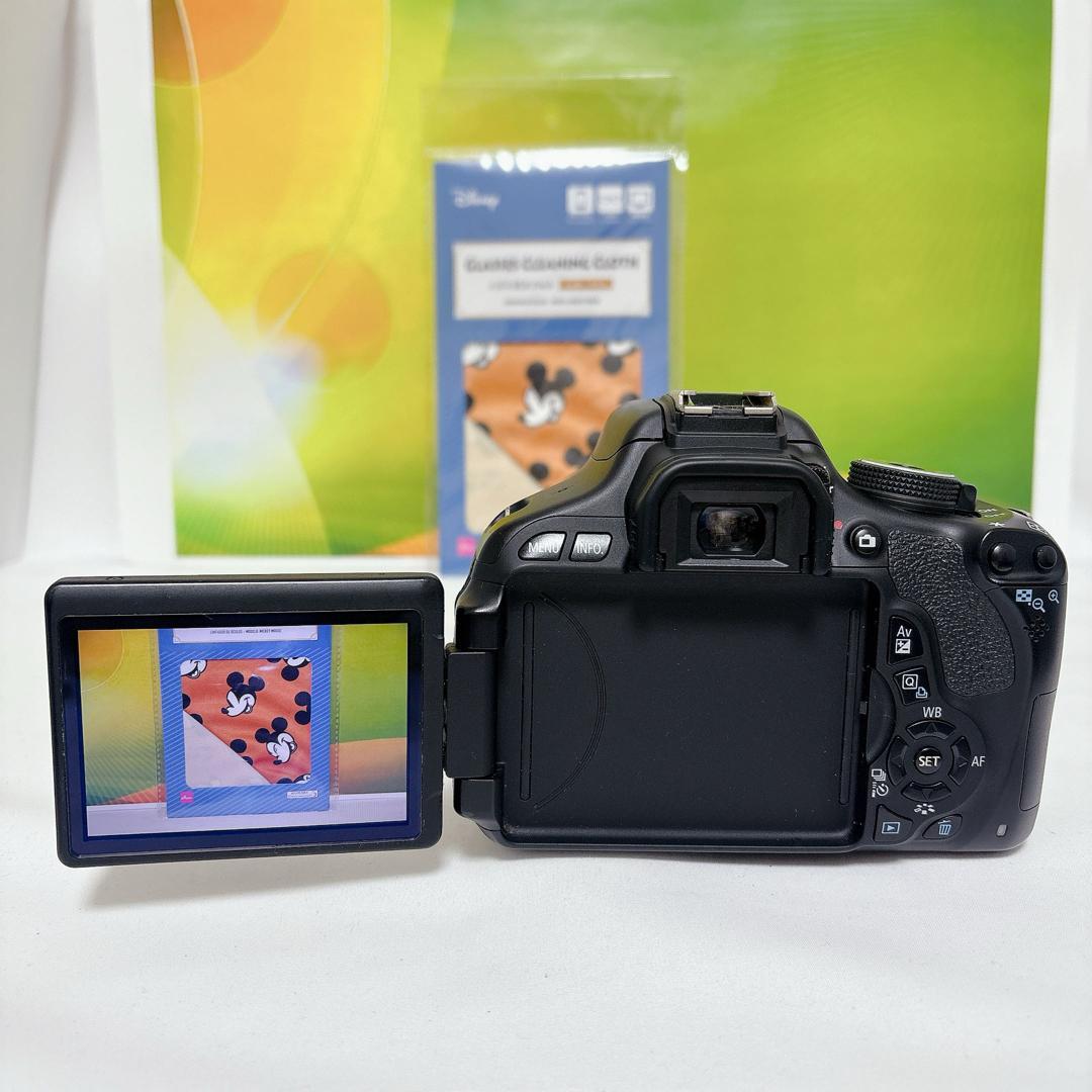 レンズ交換不要✨Nikon D5000 TAMRON 18-270mm 一眼レフ