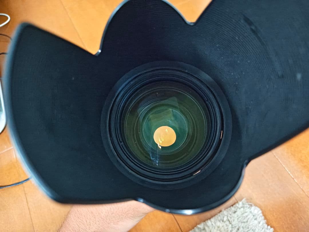 ミ*ー様 SIGMA 70-200mm 1:2.8 APO DG HSM OS