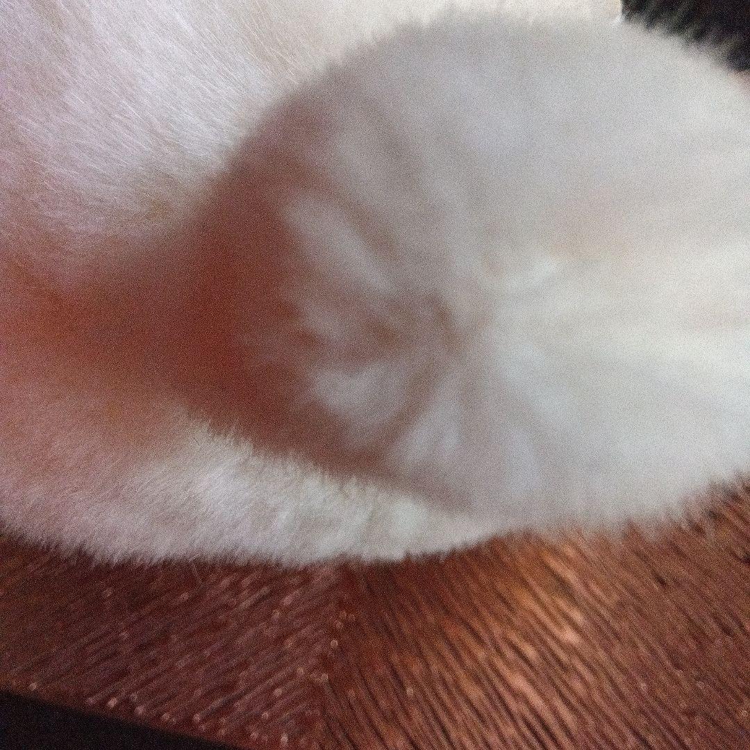 ★最後の値下げ！★【うめ吉☆30㌢＊オリエンタルト一イ＊日本製＊1983年】★