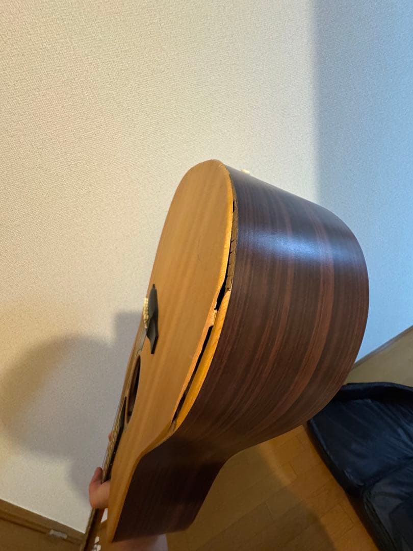 h*6様 Martin マーティン DX1RAE【ボディ割れ有】