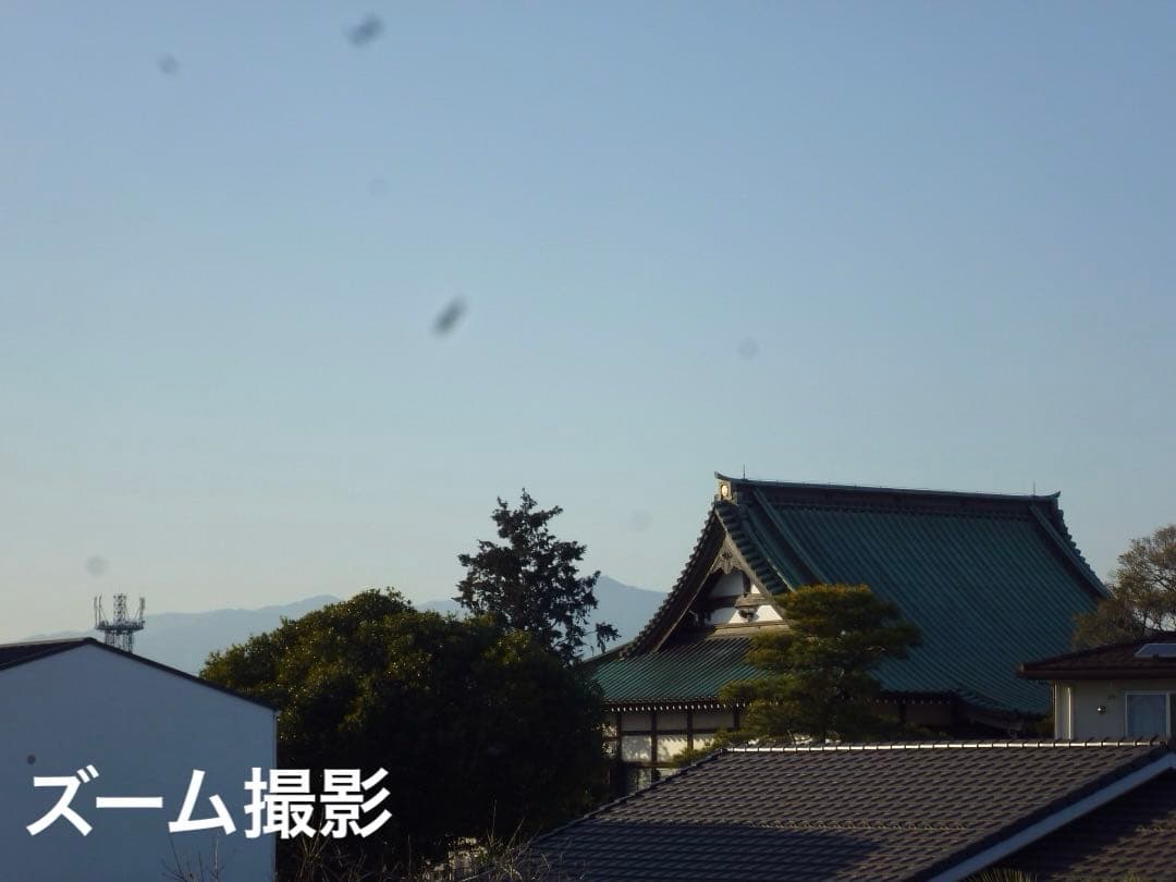 実写⭕️【動作確認済み】Panasonic LUMIX S DMC-S1