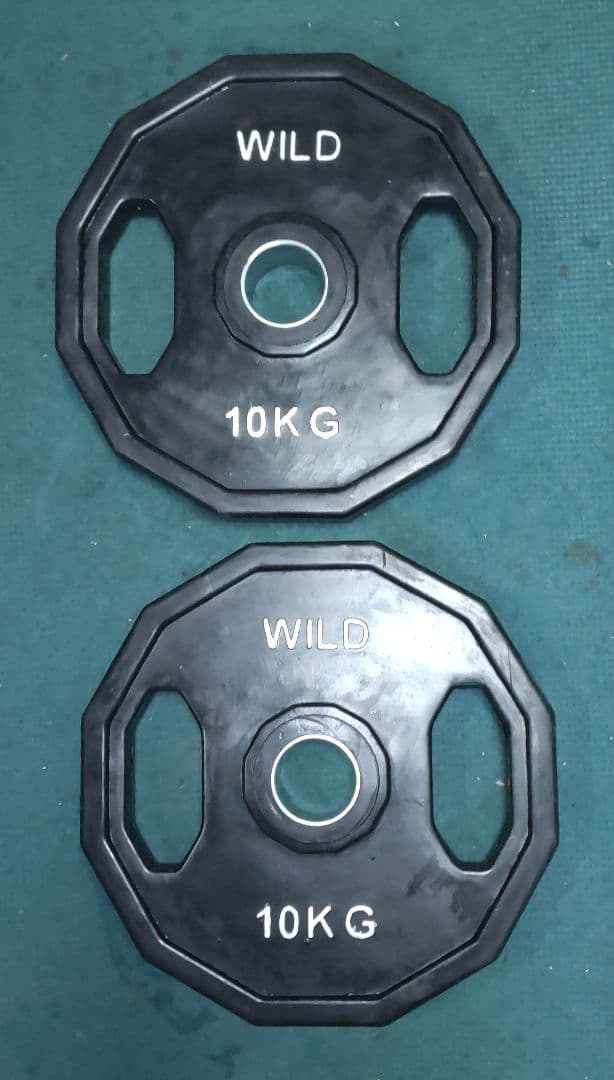 オリンピック プレート ワイルドフィット 10kgプレート 2枚