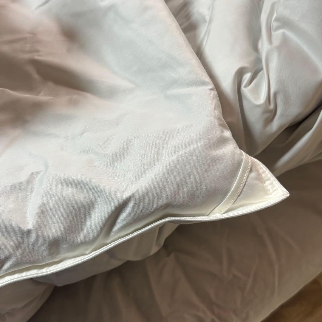 グースダウン羽毛掛ふとん　ダウン90% イオントップバリュ　定価39800円