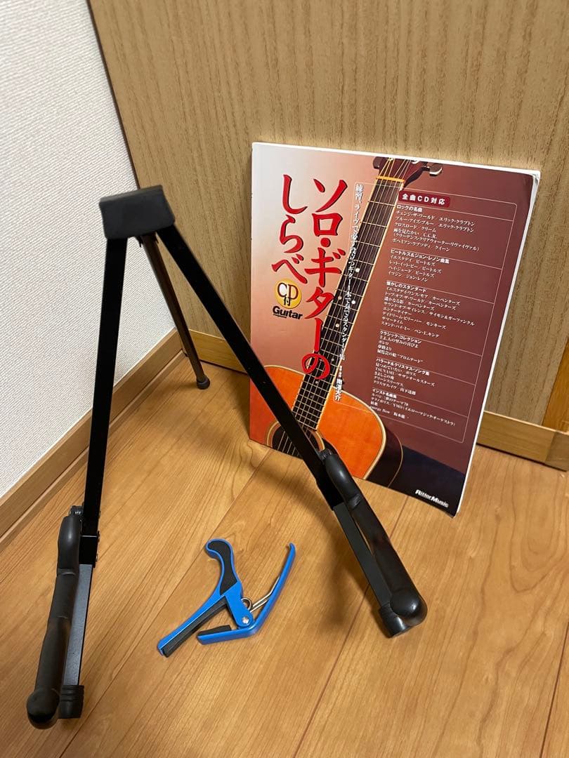 アヌエヌエ アコースティックギター M2