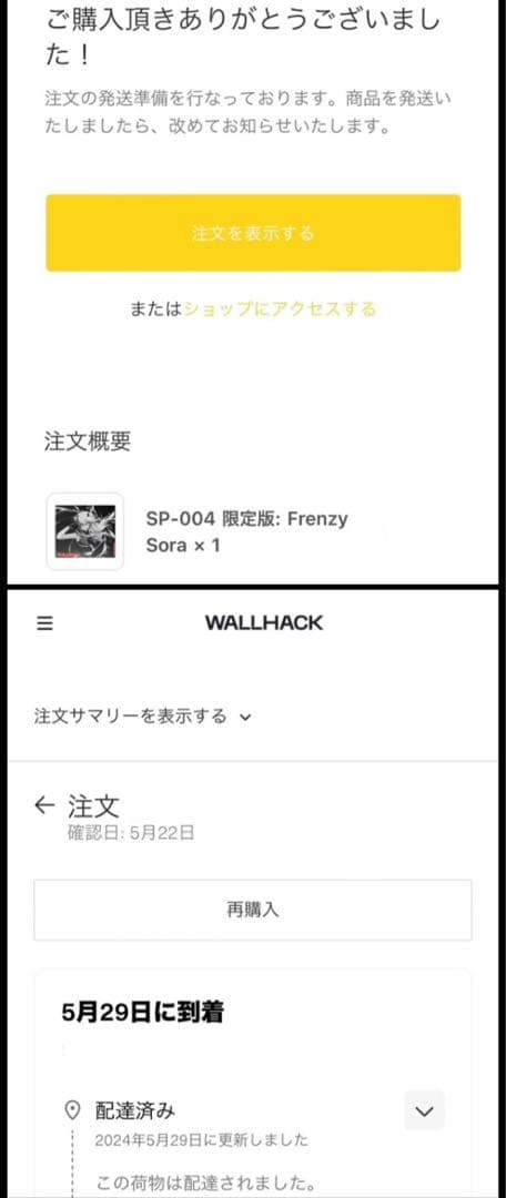 WALLHACK SP-004 (限定版 Frenzy Sora)