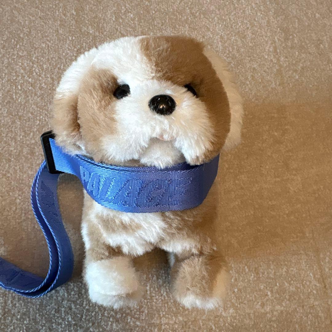 palace skateboards dog collar lead 犬　首輪