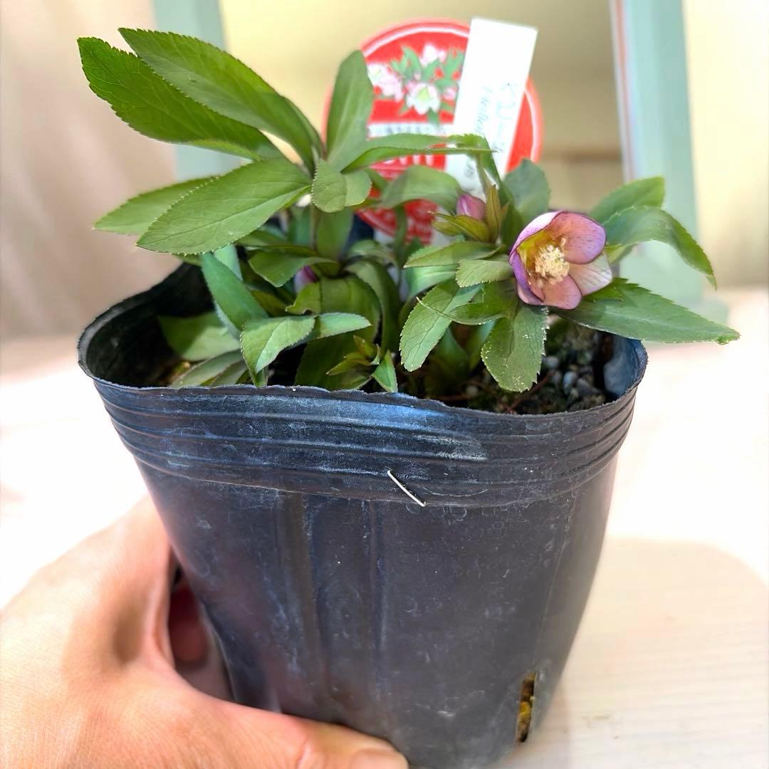 まい様　リクエスト　おまとめ2点