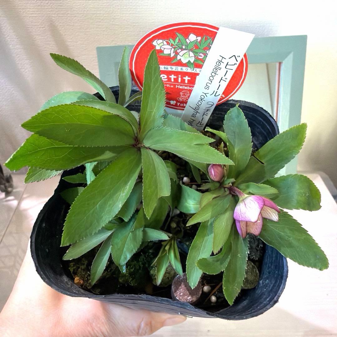 まい様　リクエスト　おまとめ2点