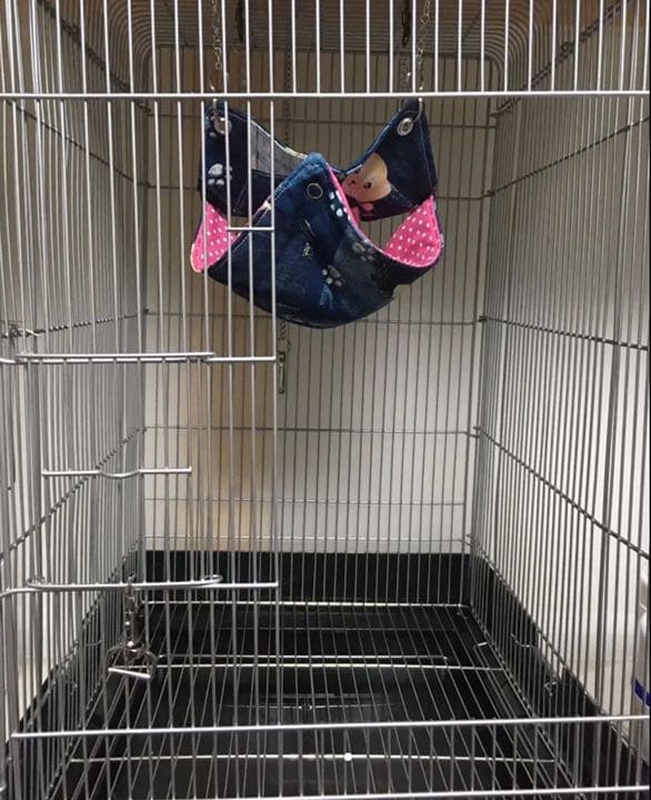 モモンガハウス(苺・チェック)  ボアピンク  2050円