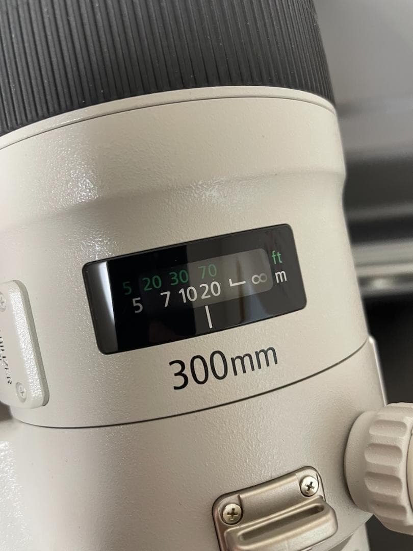 Canon 単焦点望遠レンズ EF300mm F2.8L IS II USM