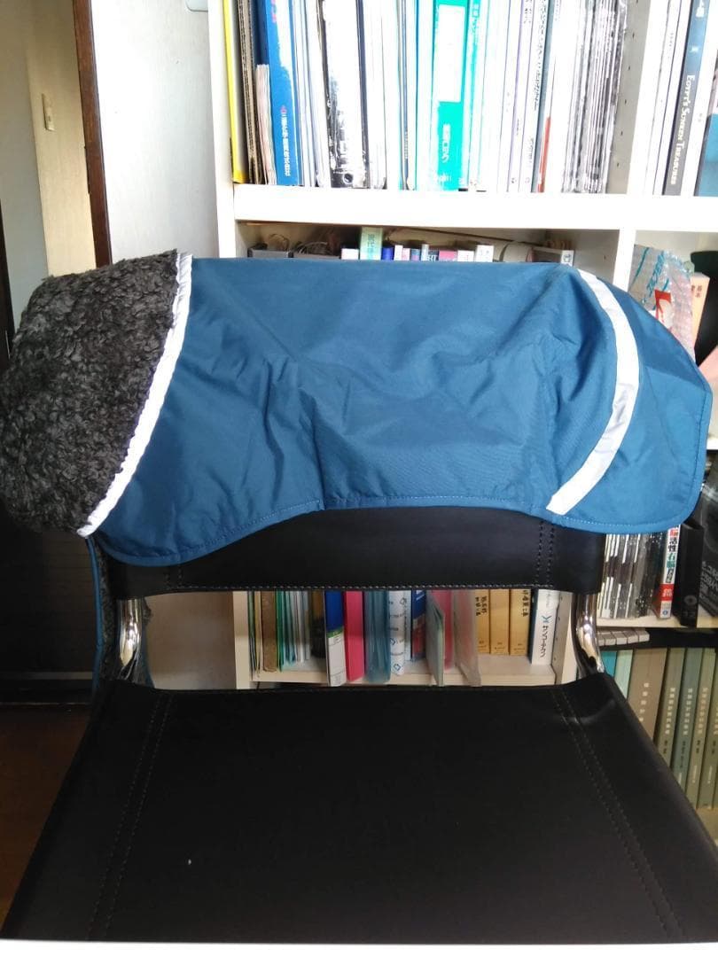 ポムッパ　ペルス　ペトロール　サイズ70