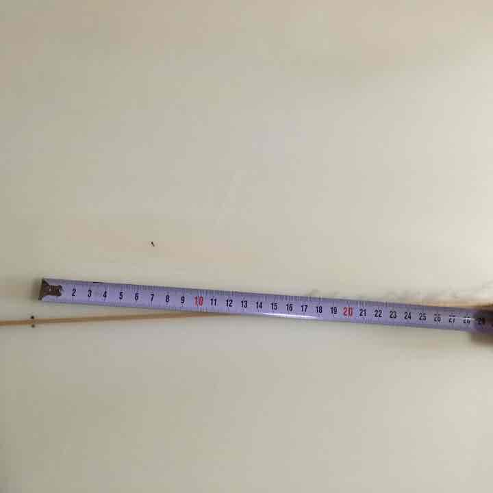 値下げ！！ＶAｒｌｅｙサーフボード