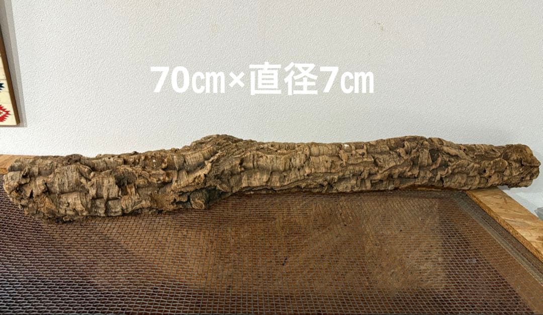 流木 水槽 爬虫類　レイアウト用品　3サイズセット