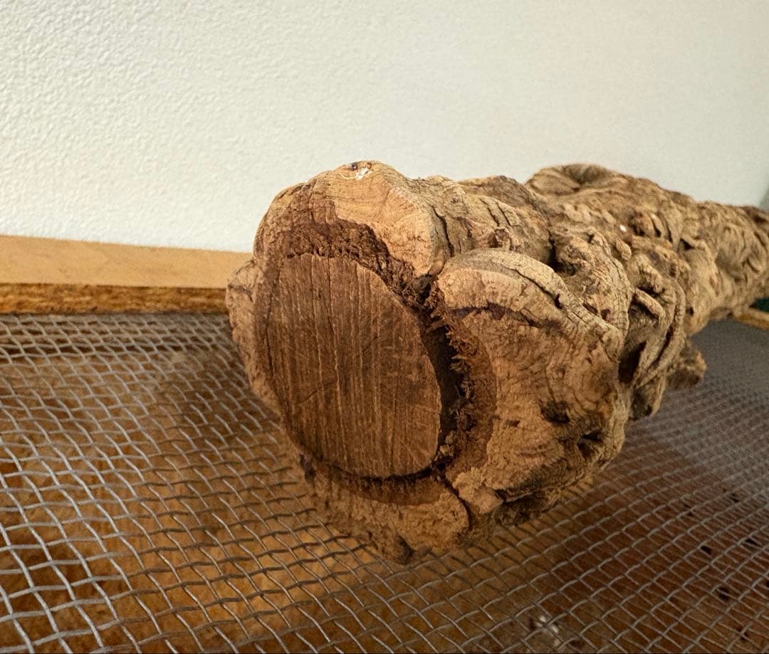 流木 水槽 爬虫類　レイアウト用品　3サイズセット