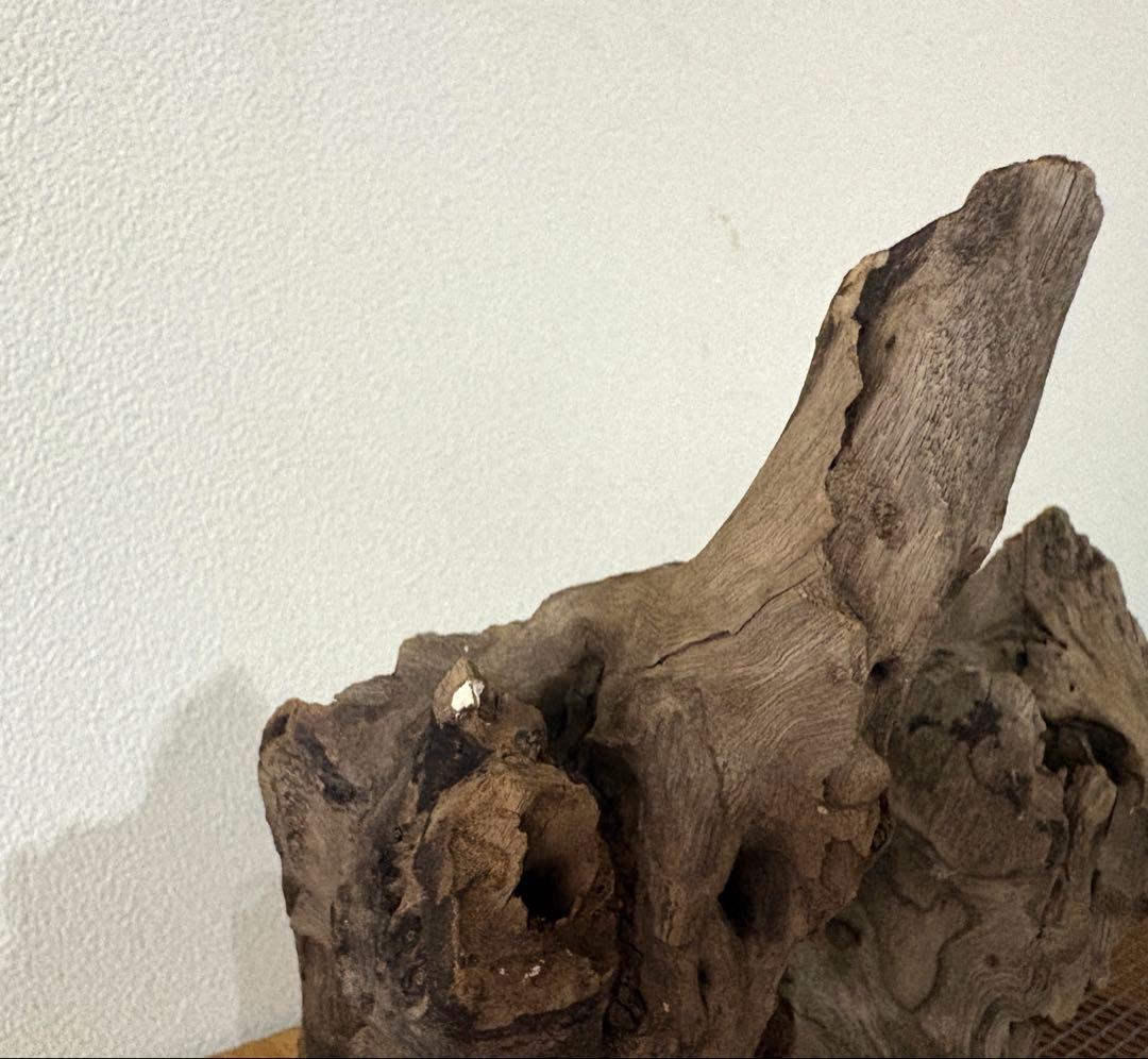 流木 水槽 爬虫類　レイアウト用品　3サイズセット