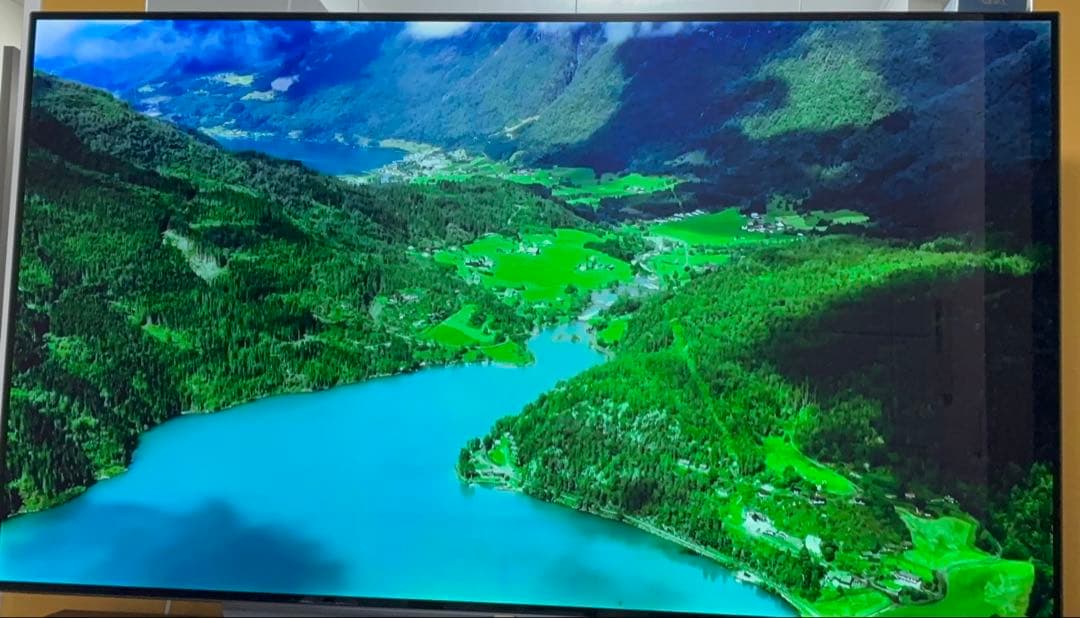 【クレヨン様限定】有機EL 55型 OLEDシリーズ OLED55C7P-J