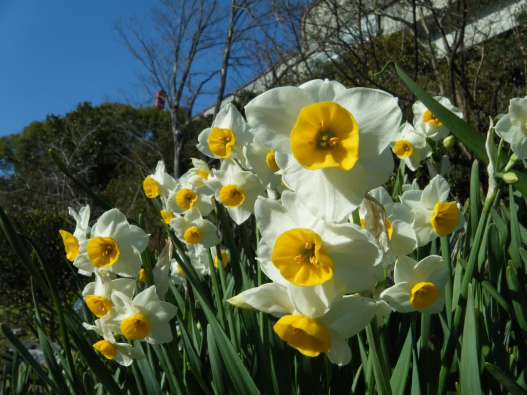 実写美⭕️良品【動作確認済み】FUJIFILM FinePix Z33WP