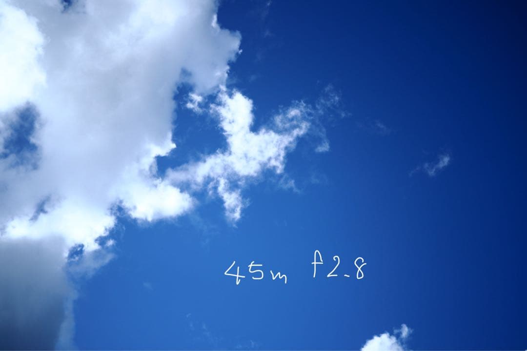 SIGMA fp レンズ2本　ケージセット