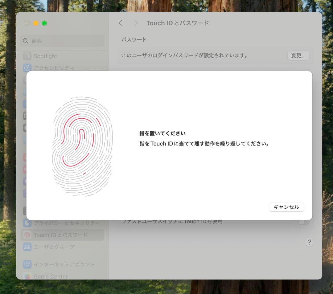 MacBook本体 Apple MacBook Pro 13 2019 i5/8GB/120Gb