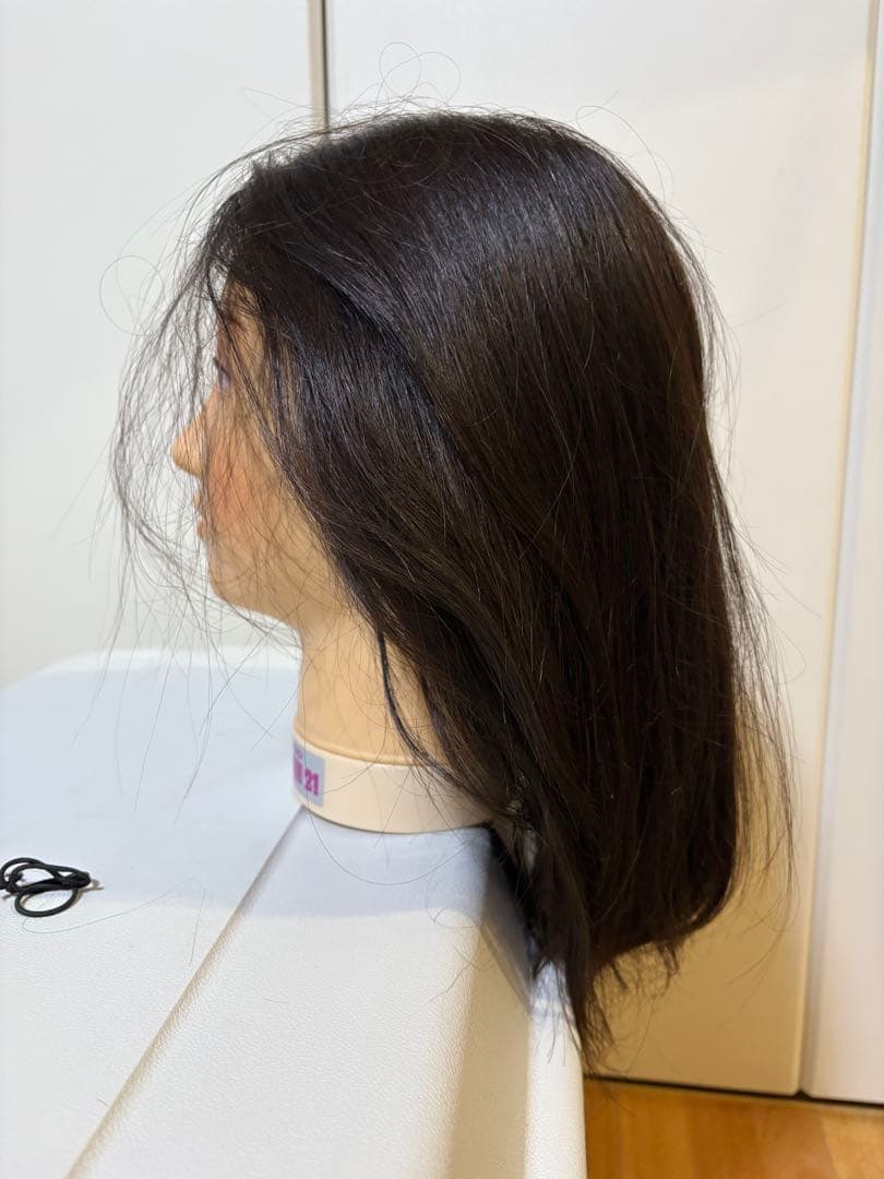 REGINA カットウィッグ2体セット　人毛100% 美容師カット練習用