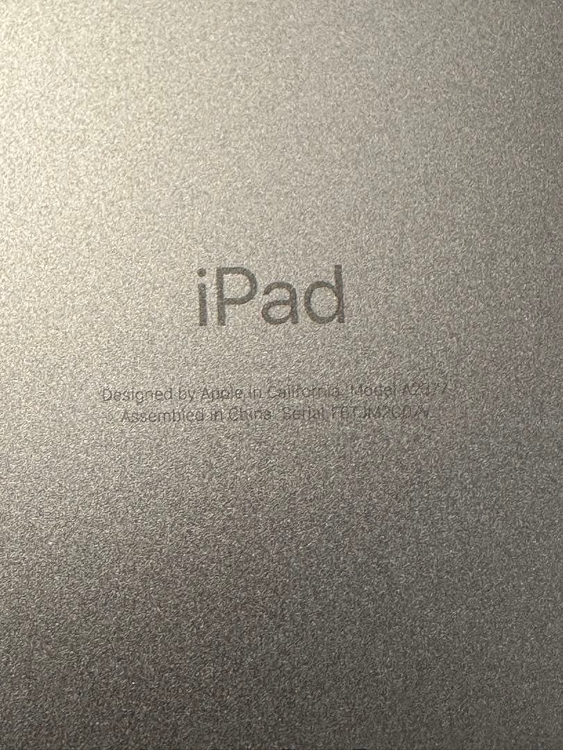 2021 Apple 11インチiPad Pro (256GB) +その他機材