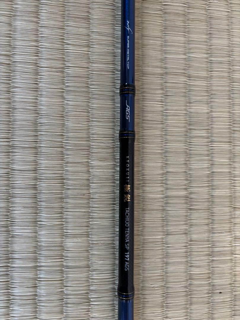 極鋭タチウオ テンヤSP 197AGS