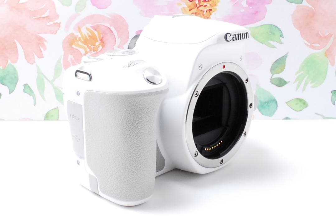✨Canon kiss X9✨美品 希少ホワイト スマホに転送 デジタル一眼レフ
