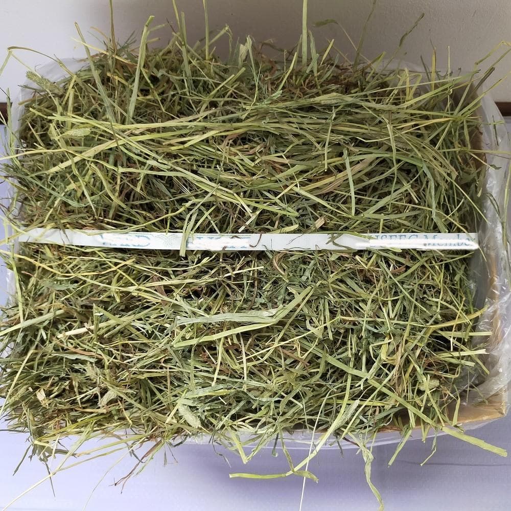 【処分価格】US産 チモシー 75kg ２番刈 ソフトSプレミアム