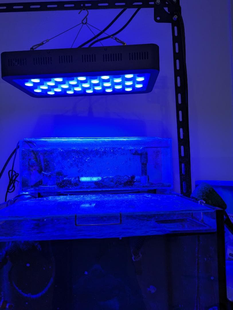 オーバーフロー　水槽　45センチ