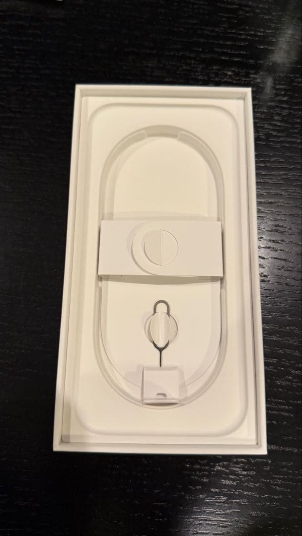 【美品】iPhone 16 Pro256GBブラックチタニウムSIMフリー即発送