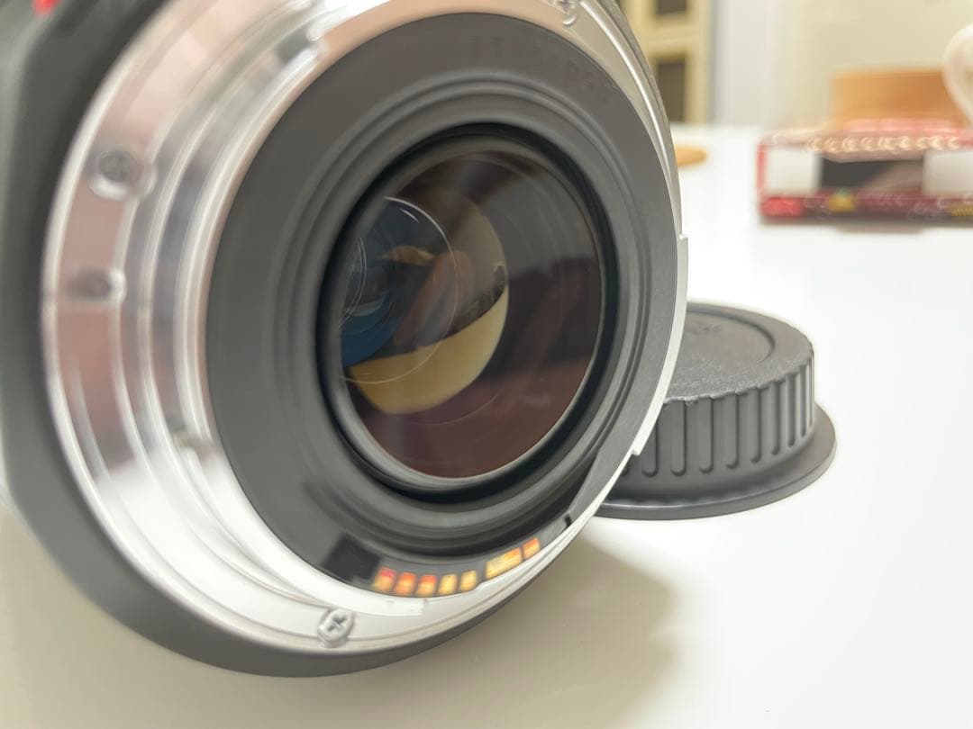 レンズ(ズーム) Canon EF 75-300mm F4-5.6 IS USM