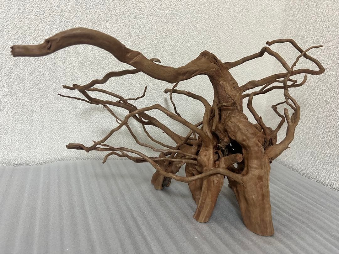 32613 ブランチウッド　流木　アクアリウム