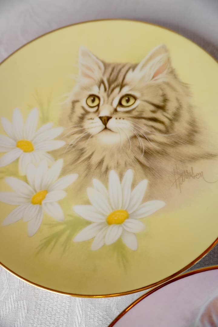 イギリス ヴィンテージ 猫 絵皿 3枚セット コレクションプレート