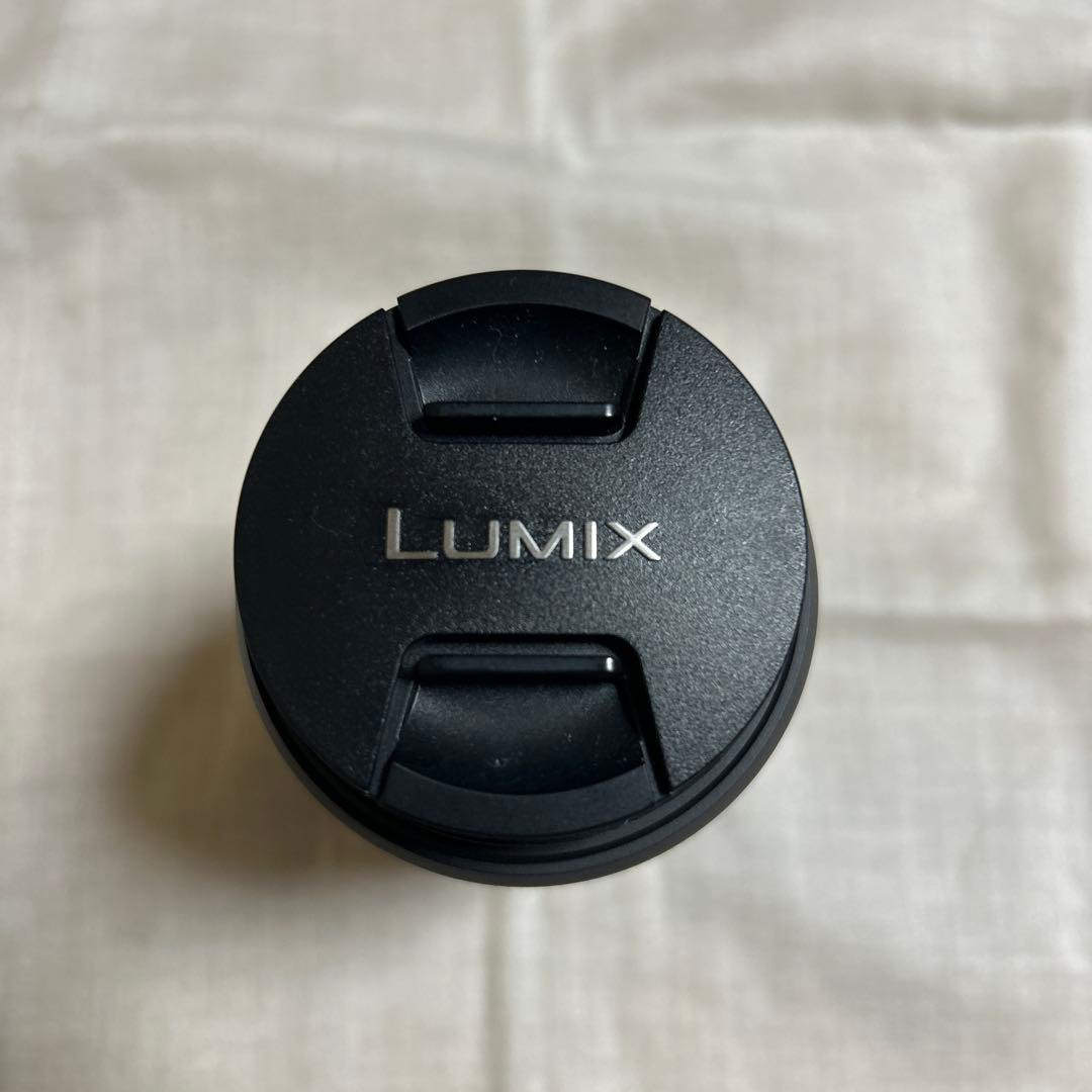 LUMIX G VARIO 45-200mm 望遠レンズ H-FS045200